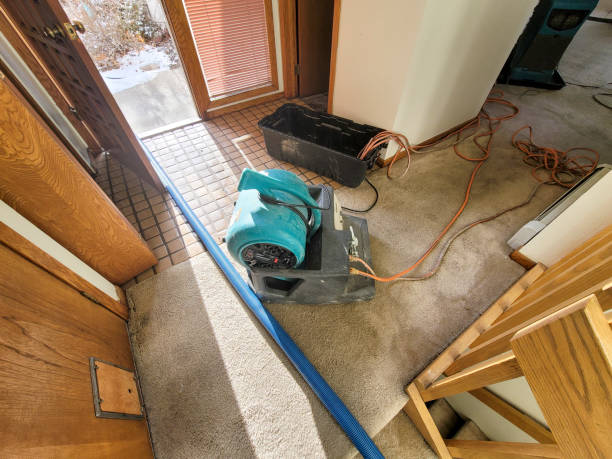 Best Emergency water extraction  in West Chester, PA