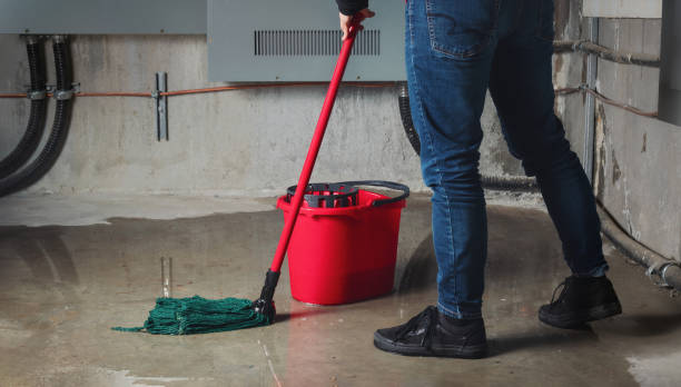 Best Water damage cleanup near me  in West Chester, PA