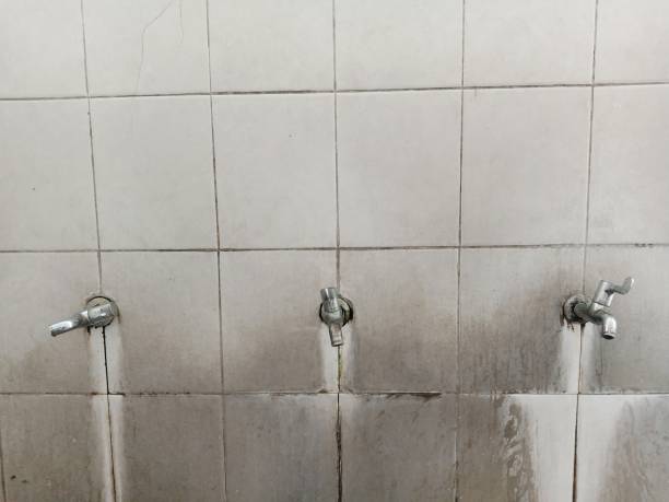 Best Flood restoration services  in West Chester, PA