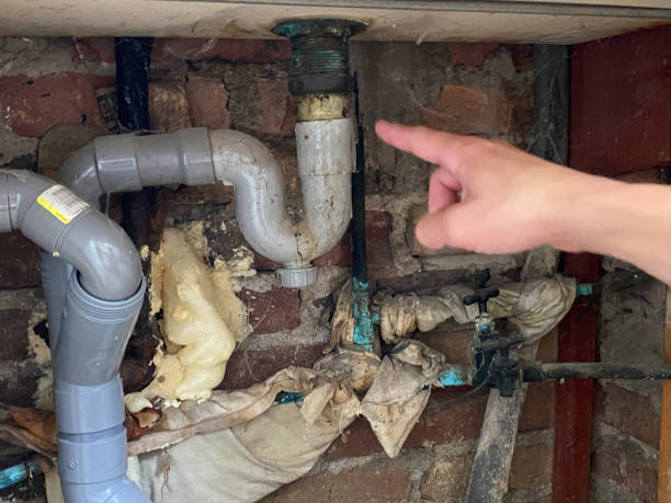 Best Water damage cleanup near me  in West Chester, PA