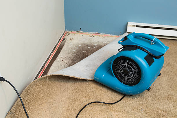 Best Flood restoration services  in West Chester, PA